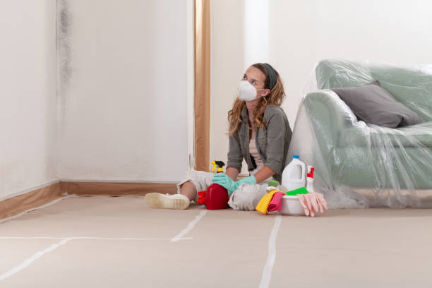 Reliable Commercial Mold Remediation contractor in Dresher, PA by WQB Mold Removal